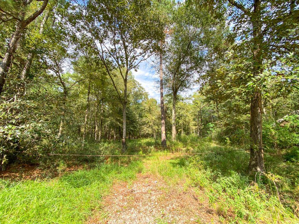 27126 Bear Claw - Photo 1