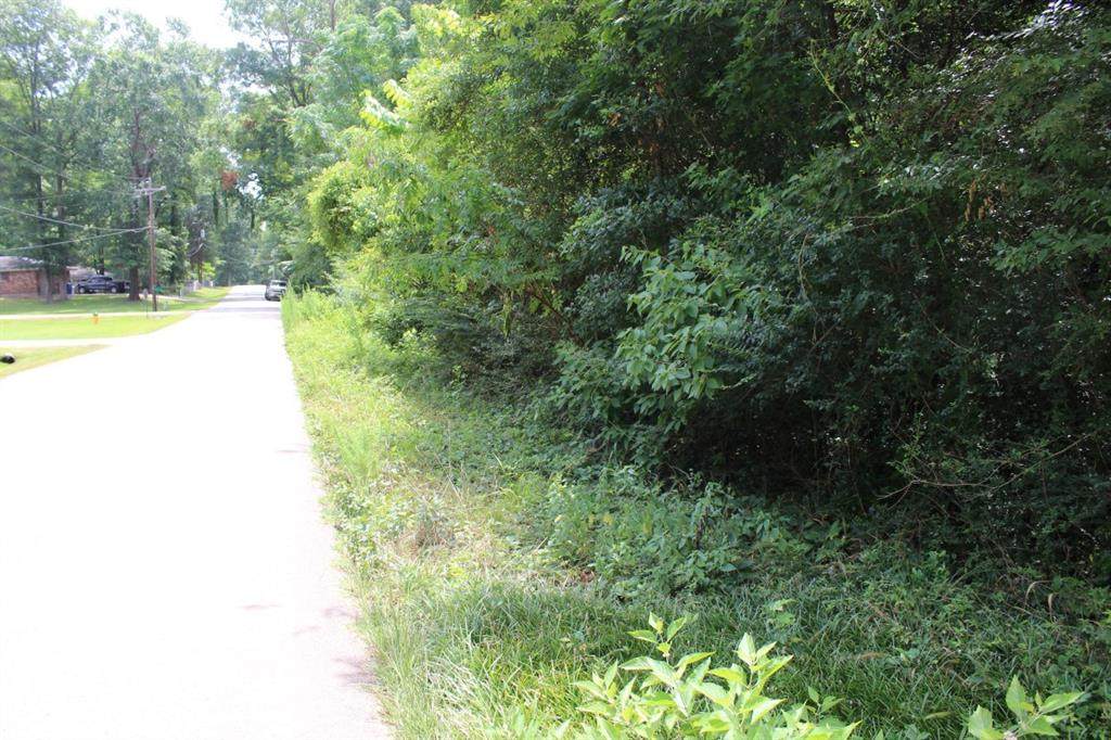 Lot 70 Co Road 172 - Photo 1