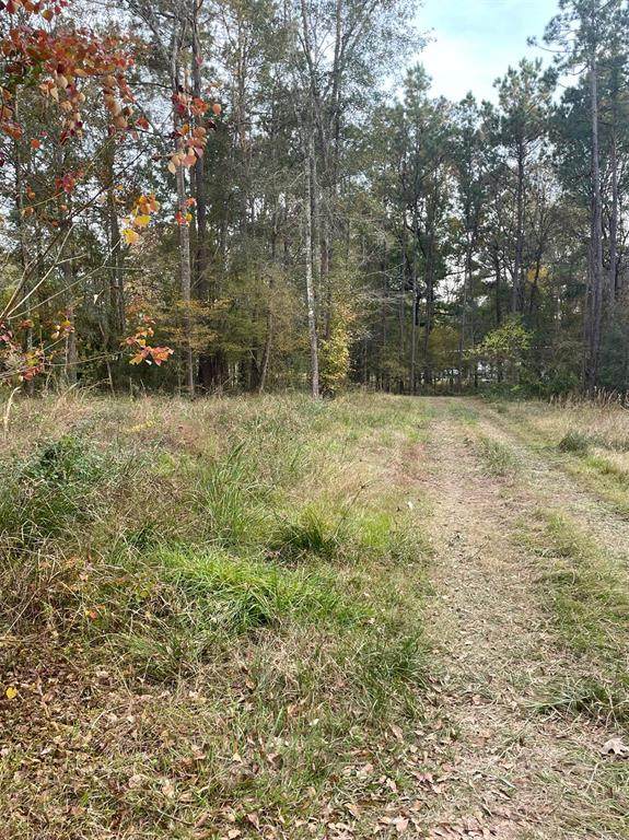 382 Blue Lake Drive - Photo 1