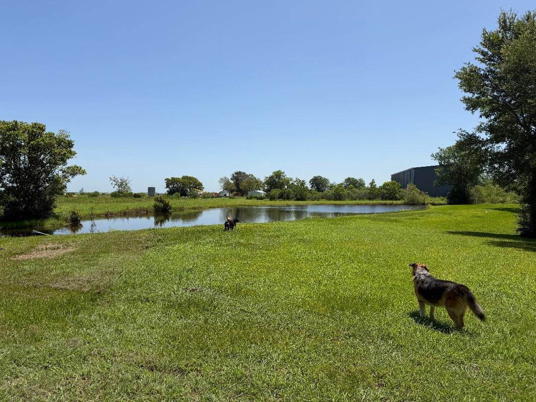 https://bt-photos.global.ssl.fastly.net/harmls/orig_boomver_1_17908017-2.jpg