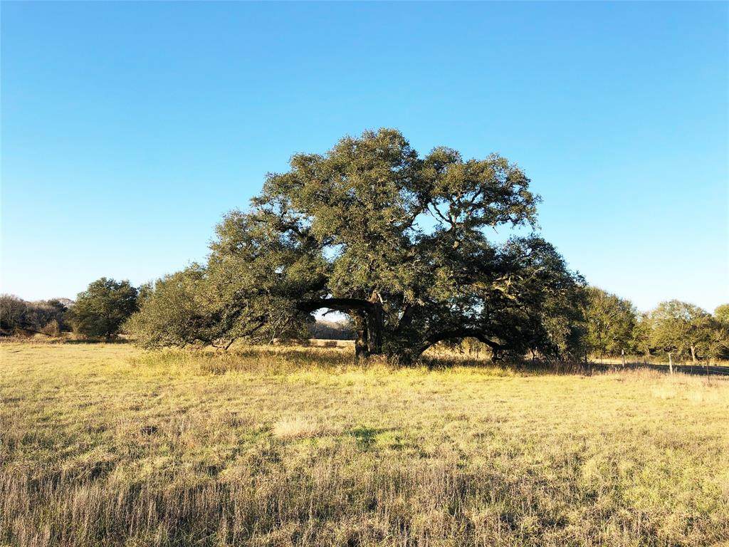 11476 County Road 365 - Photo 1
