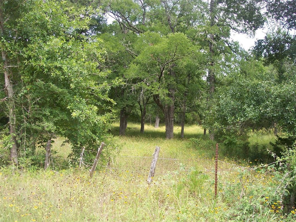 4398 Schoenau 15 Ac Tract Road - Photo 1
