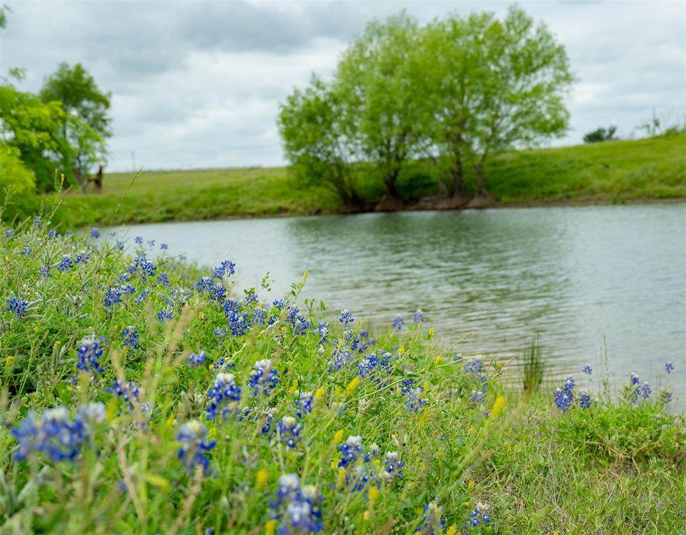 https://bt-photos.global.ssl.fastly.net/harmls/orig_boomver_1_18034657-2.jpg