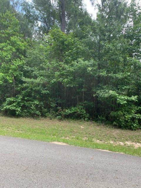 0-00 Cottonwood Place - Photo 1