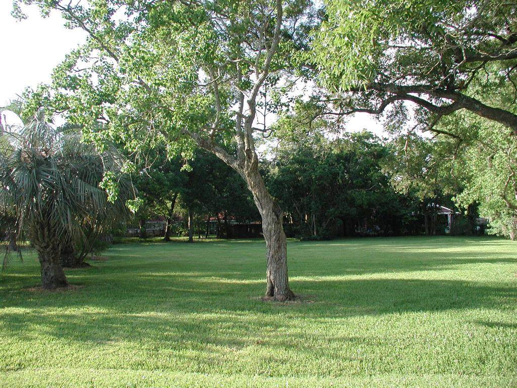 115 Meadowlawn Street - Photo 1
