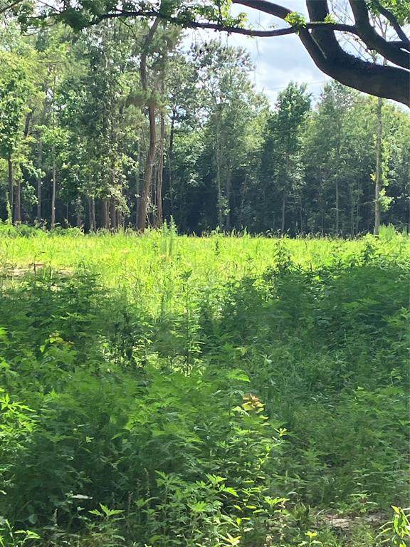 15748 Williamson Road - Photo 1