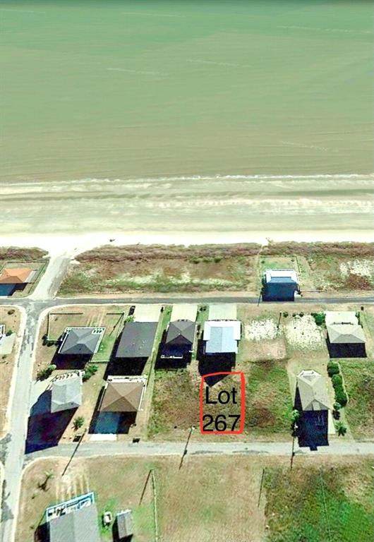 Lot 267 Whitecap - Photo 1