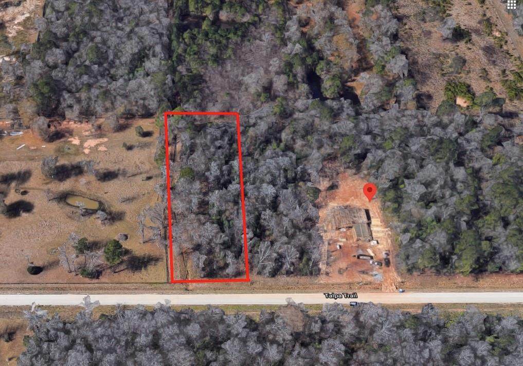 155 Talpa Trail - Photo 1