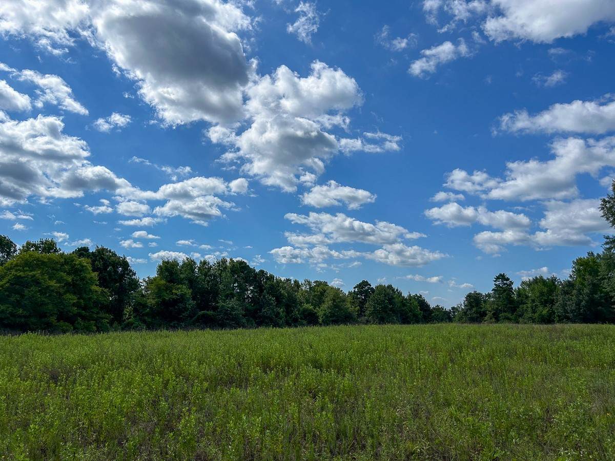 TBD County Road 1804 - Photo 1