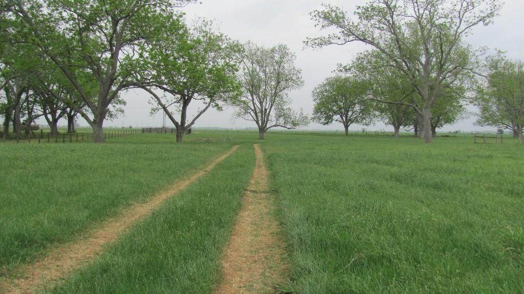 265 County Road - Photo 1