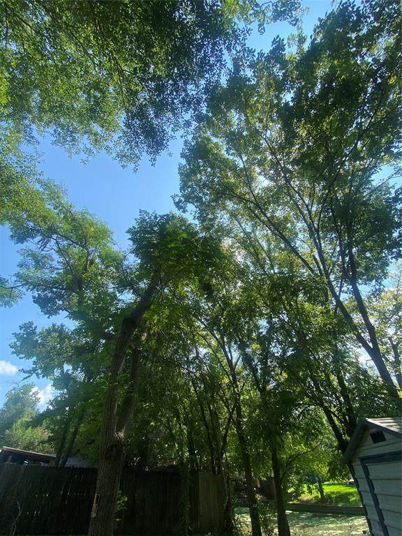 000 Scarlett Oak - Photo 1