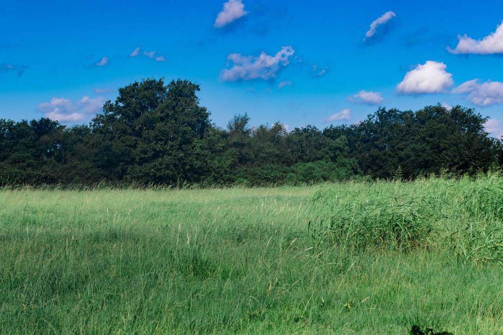B Roesler Road - Photo 1