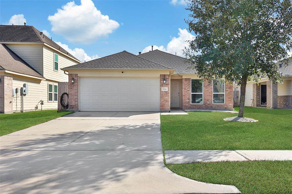 9924 Lace Flower Way - Photo 1