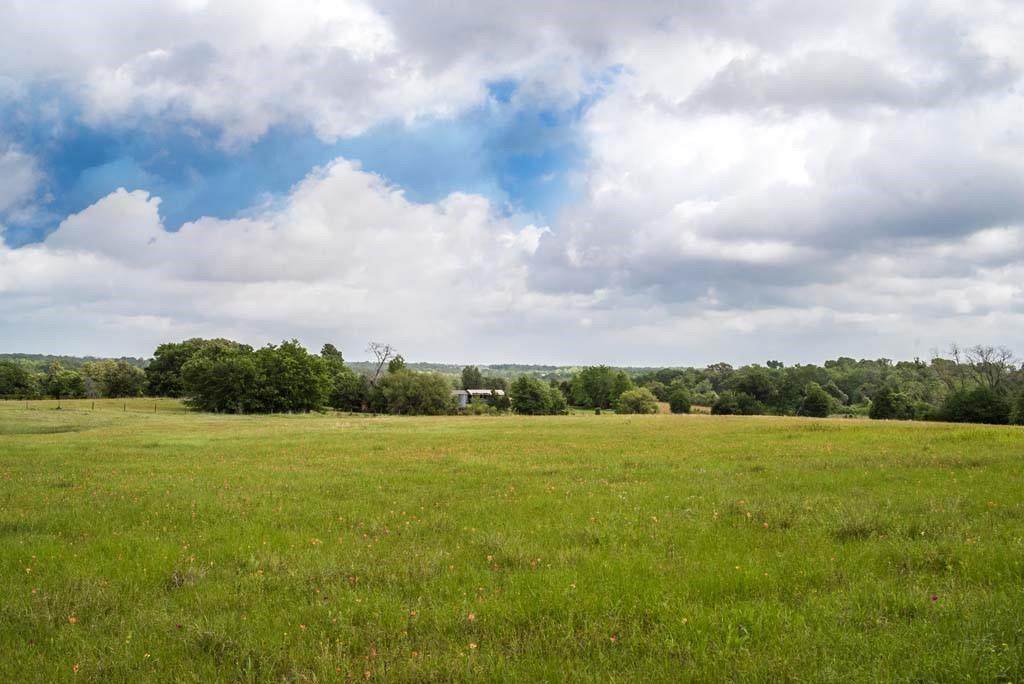 20695 Pickens Rd Road - Photo 1