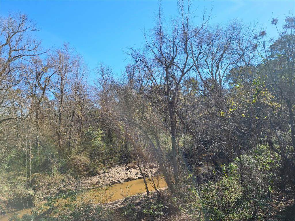 00 Rollingwood Loop - Photo 1