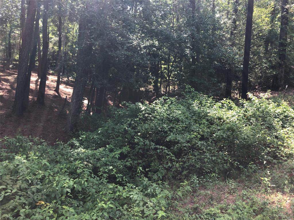 L482 Pine Shadow - Photo 1