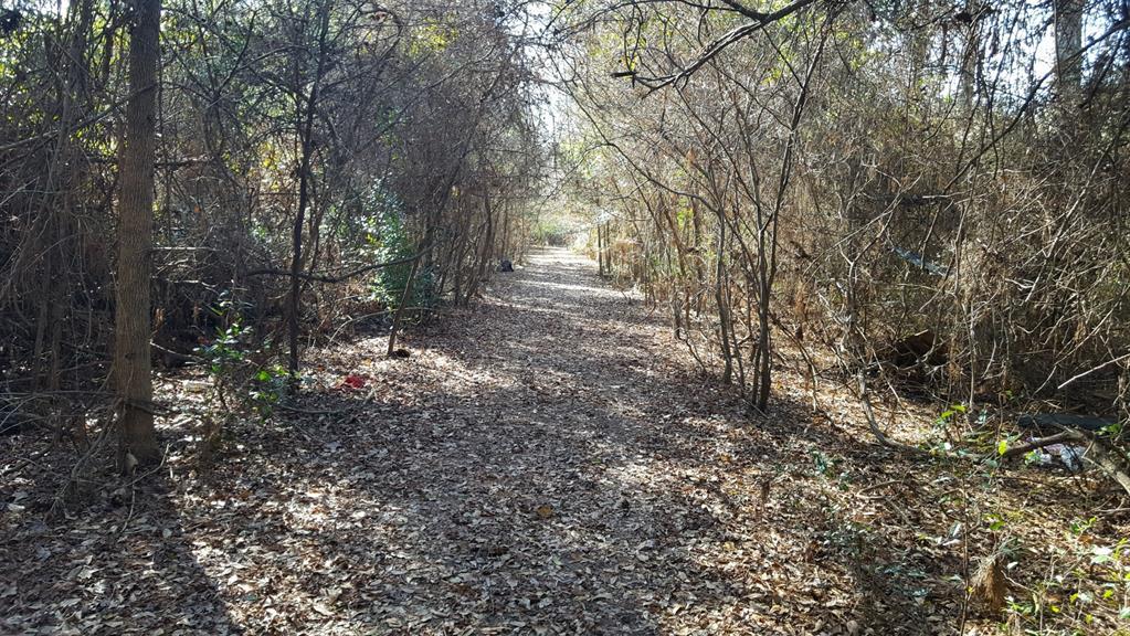 00 Cottonwood Cove - Photo 1