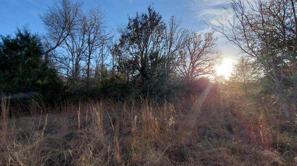 0 Live Oak Path - Photo 1