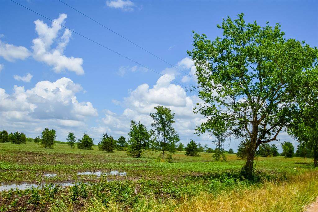 005 County Road 451 - Photo 1