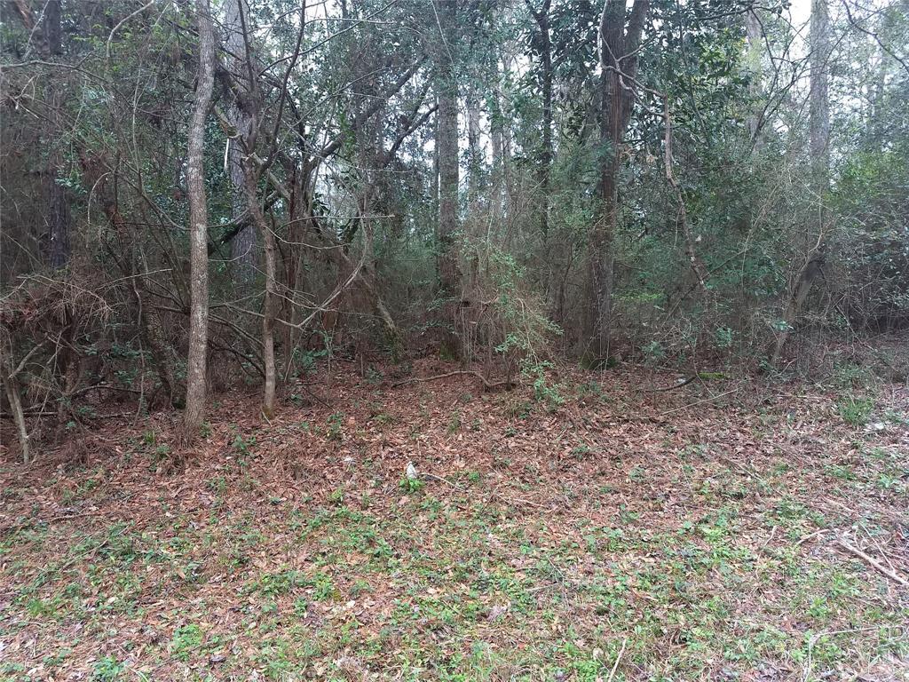 TBD Swick Trail - Photo 1