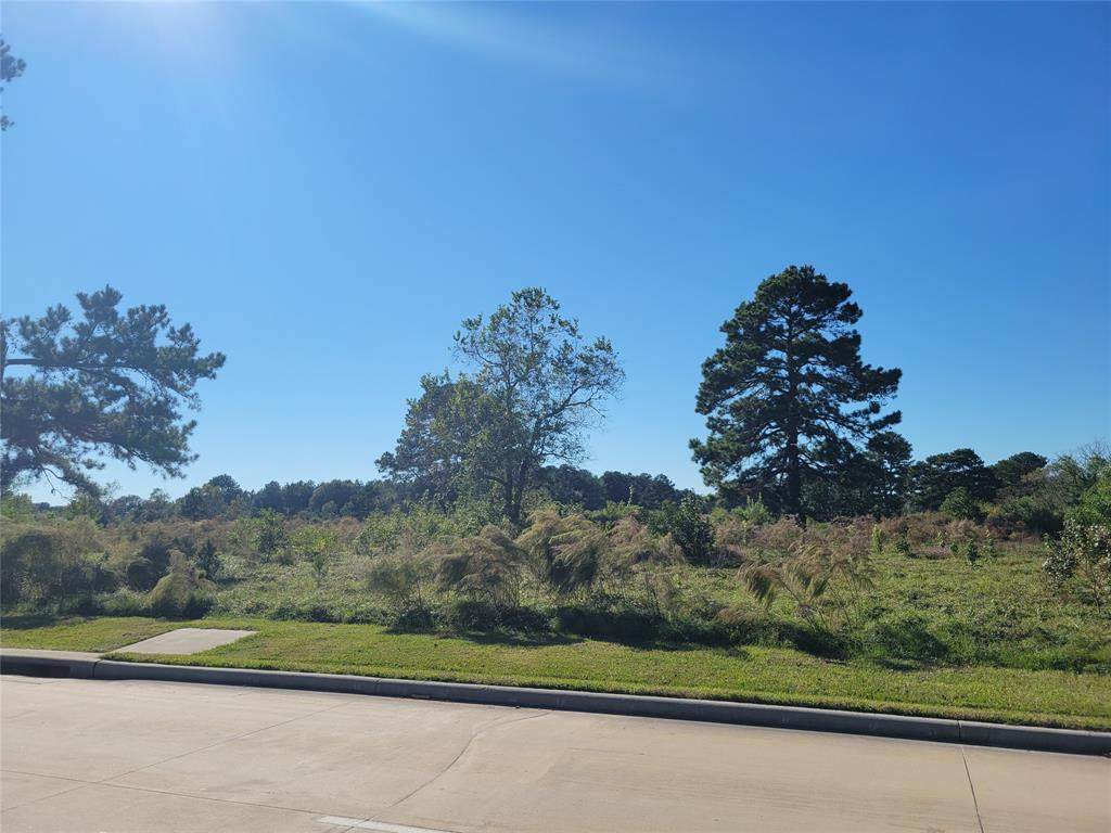 18609 Cypress Rosehill Road - Photo 1