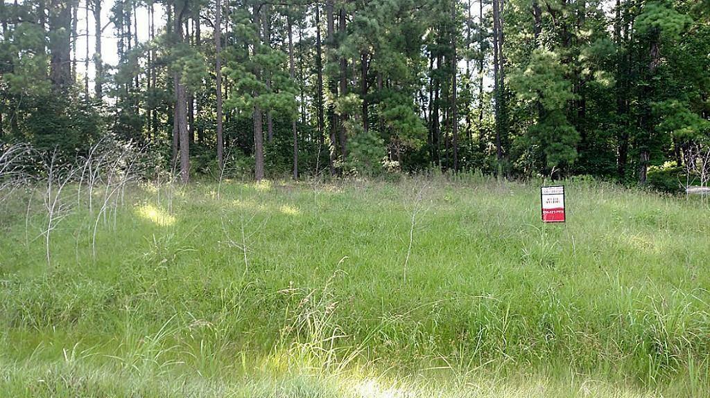 TBD Caney Creek Dr - Photo 1