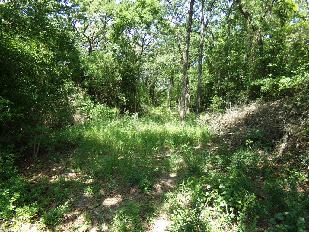0000 Fm 979 Farm To Market Rd - Photo 1