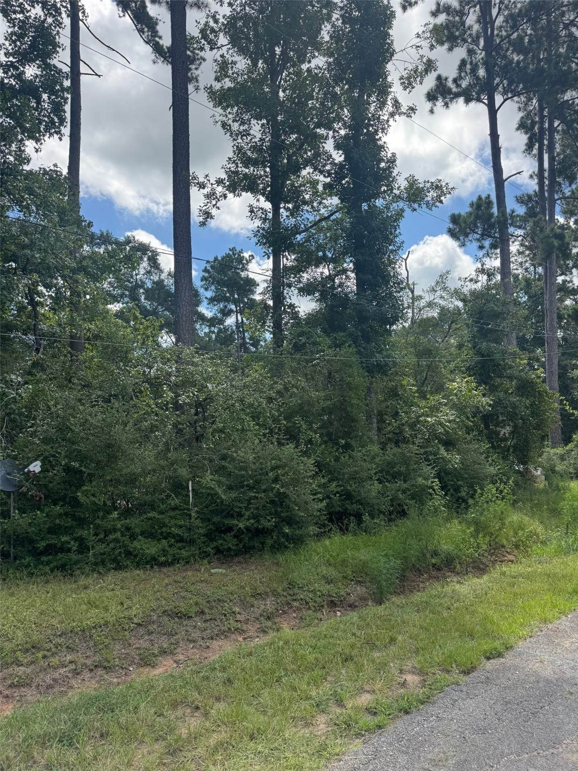 3629 Hickock Lane - Photo 1