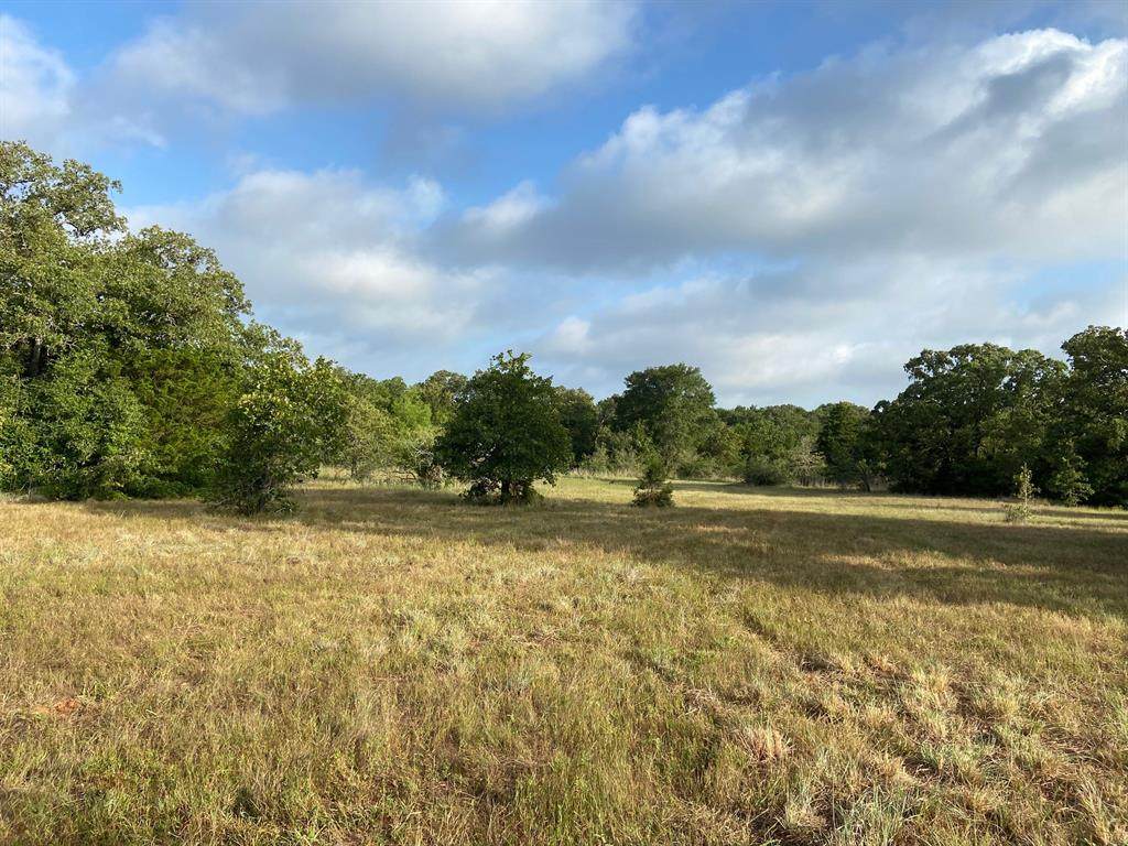 1220 County Road 327 - Photo 1
