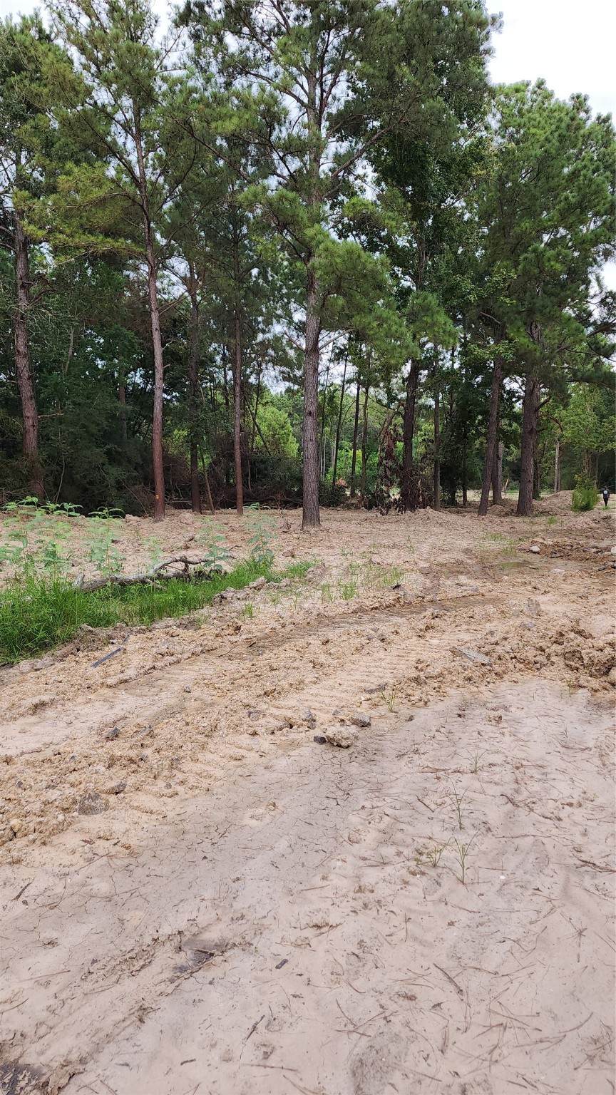 TBD /0 Hardy Road - Photo 1