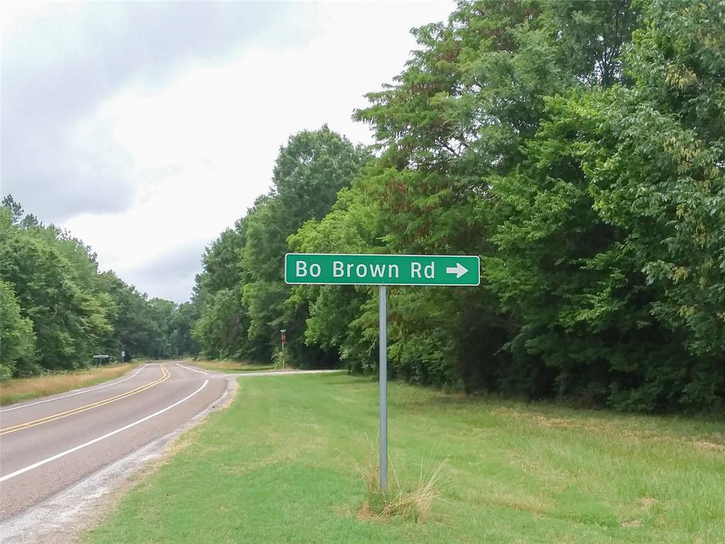 0 Bo Brown Road - Photo 1 0 Bo Brown Road - Photo 1