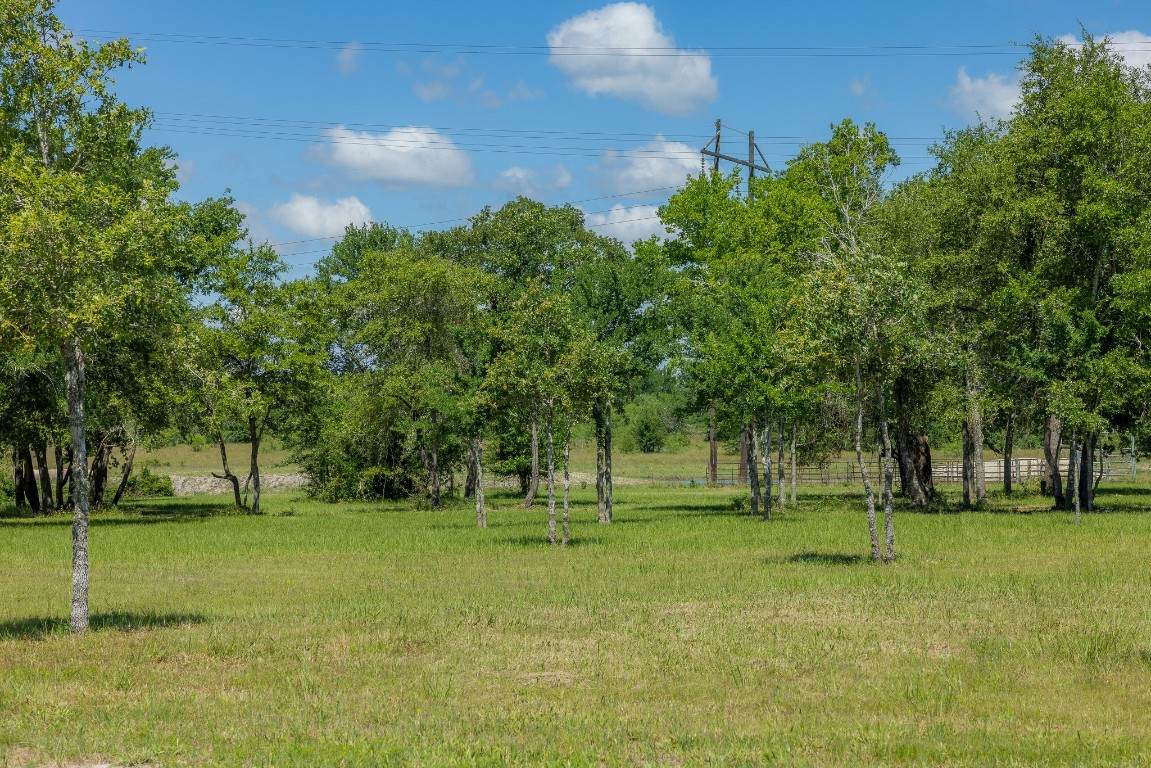 6731 Atakapan Trail - Photo 1