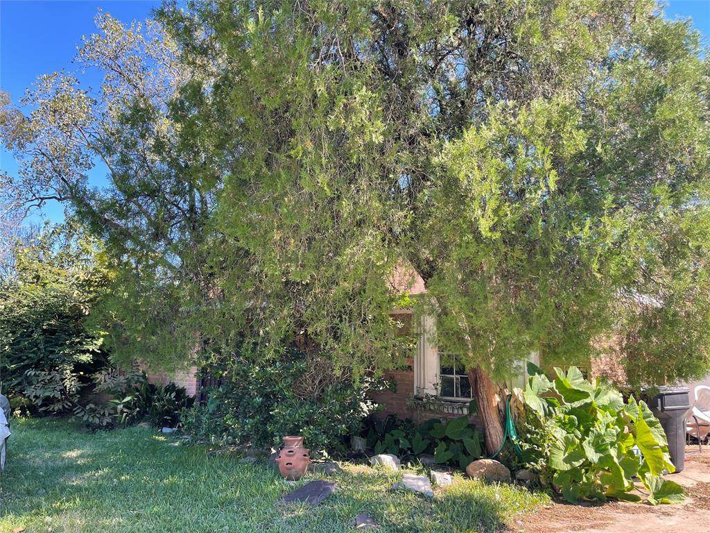 8906 De Priest Street - Photo 1