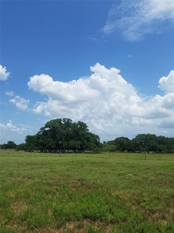 674 Highway 304 - Photo 1