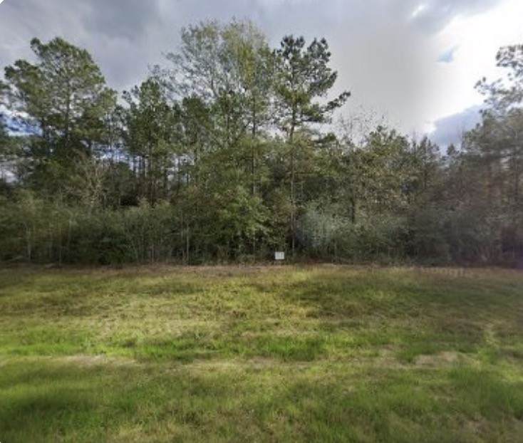 15678 Fire Sky Road - Photo 1