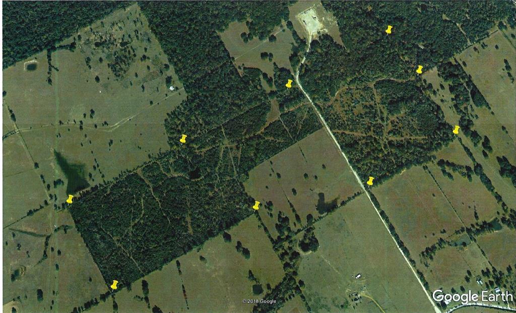 000 Fm 231 - Photo 1