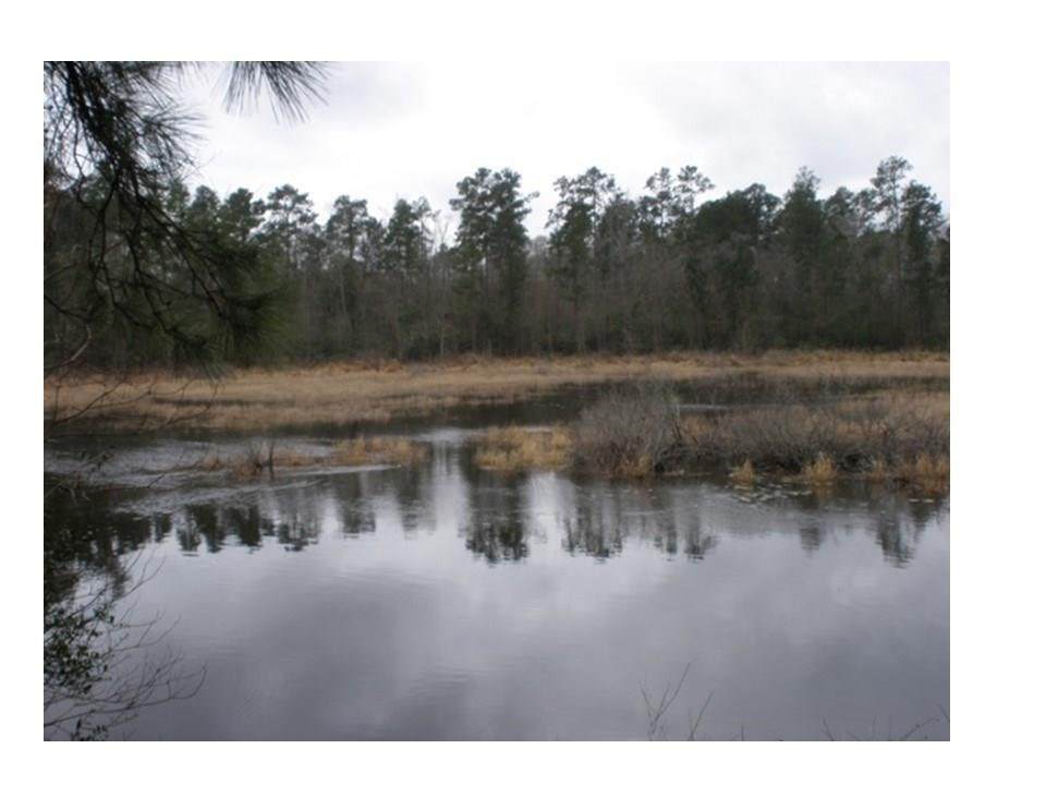 40814 Friar Tuck Road - Photo 1