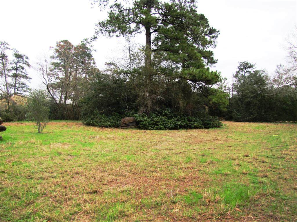 35502 Fm 149 Road - Photo 1