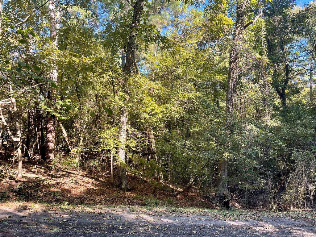 55 Pine Harbour Drive - Photo 1