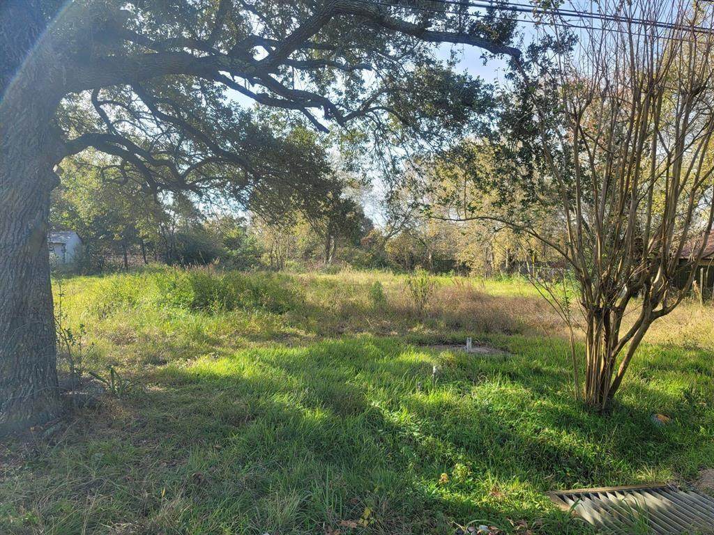 17319 Highway 6 - Photo 1
