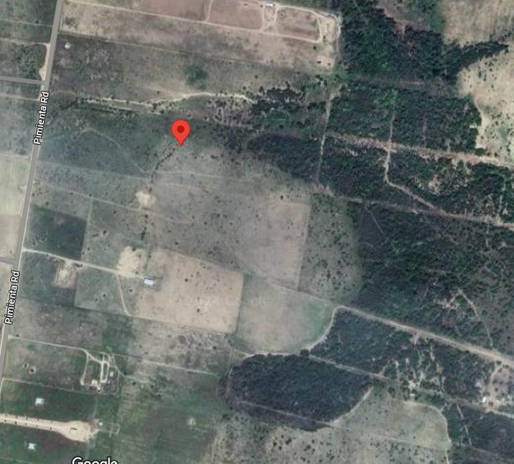 1770 Pimienta Road - Photo 1