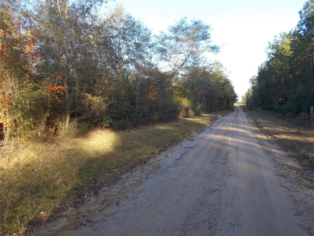 TBD Cr 4502 Road - Photo 1