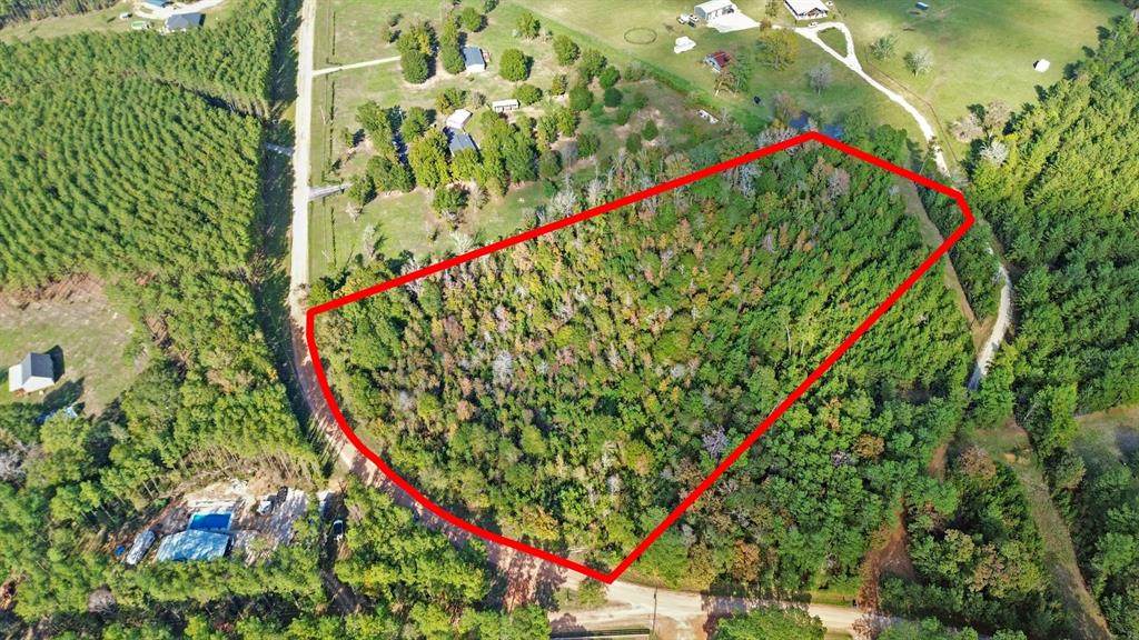 TBD Big Woods Road - Photo 1
