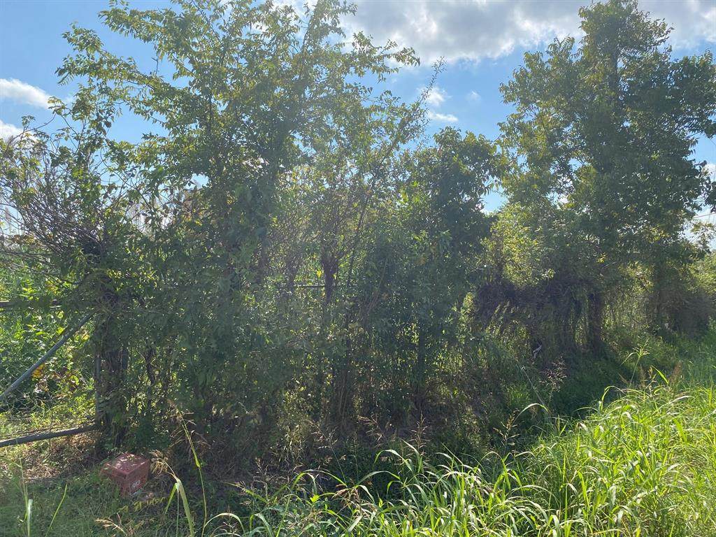 0 Sweetwater Lane - Photo 1