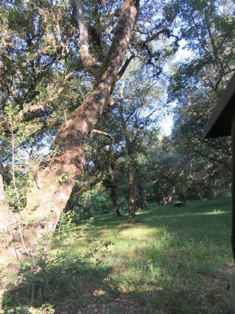 13470 County Road 394 - Photo 1