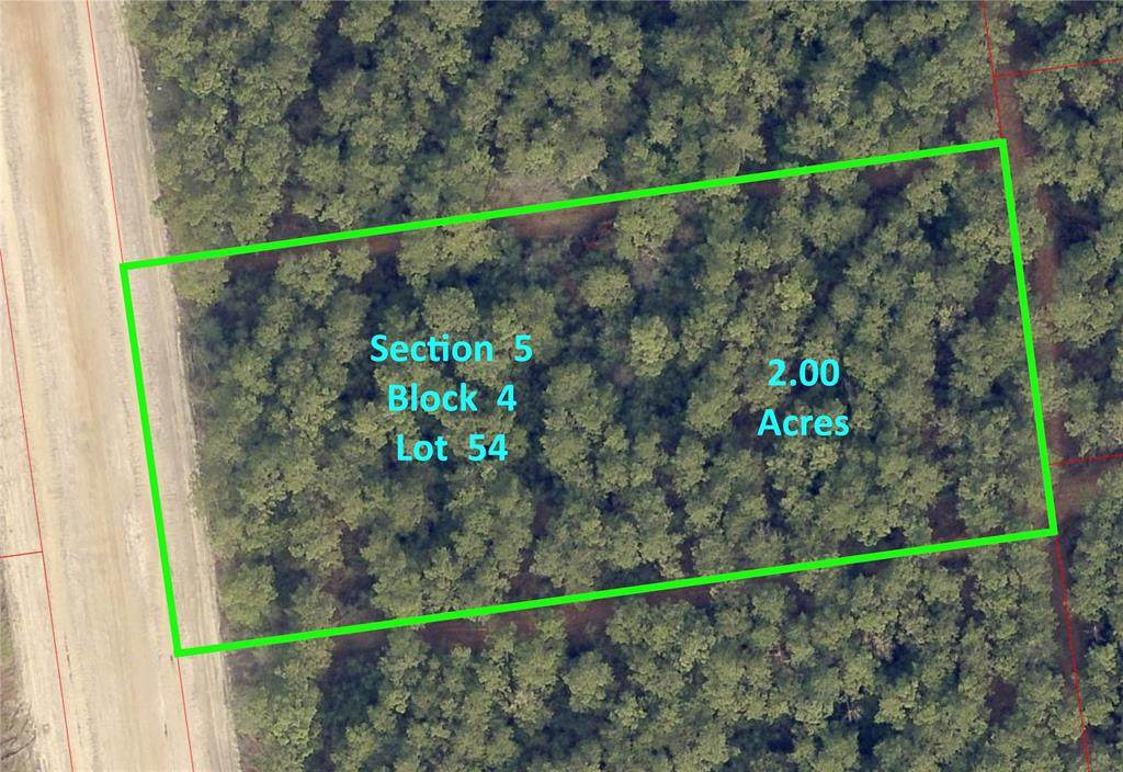 15682 Forest Grove - Photo 1