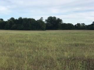 6260 Bleiblerville Road - Photo 1