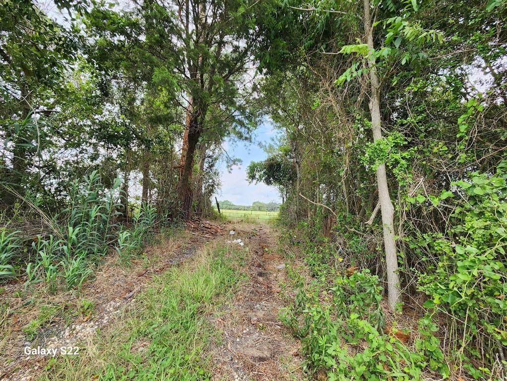 40224 Fm 1488 Road - Photo 1