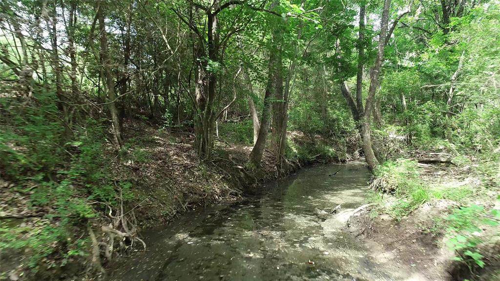 TBD County Road 251 - Photo 1