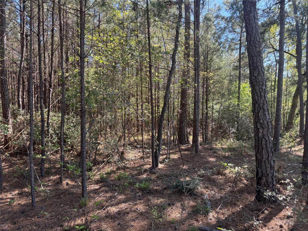 Tract 107 Hwy 156 - Photo 1